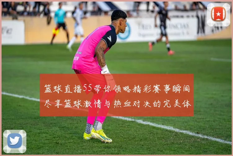 篮球直播55带你领略精彩赛事瞬间尽享篮球激情与热血对决的完美体验