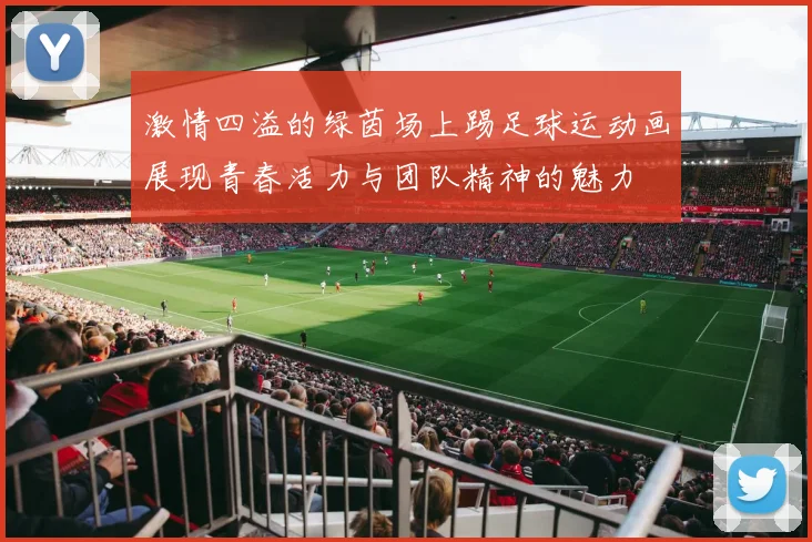 激情四溢的绿茵场上踢足球运动画展现青春活力与团队精神的魅力