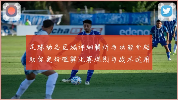 足球场各区域详细解析与功能介绍助你更好理解比赛规则与战术运用