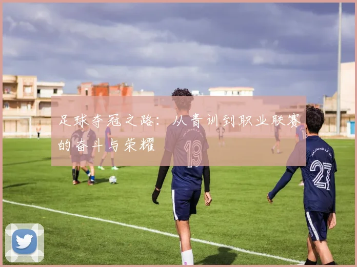 足球夺冠之路：从青训到职业联赛的奋斗与荣耀